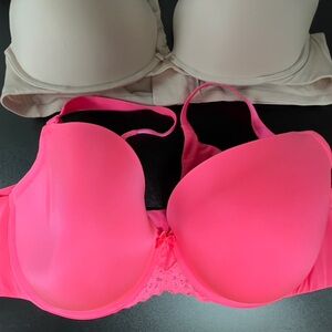 Women’s Torrid Curves Bras